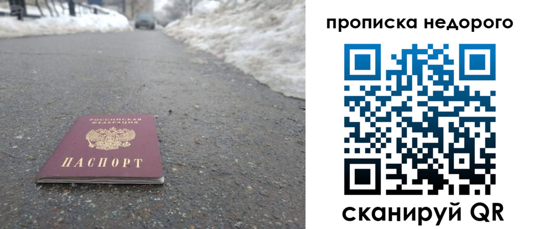 прописка в Зернограде